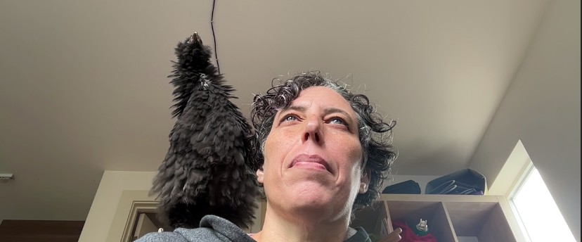 Shot from below, a white person wearing a grey sweatshirt with curly dark brown hair speckled with grey. A black chicken with curly feathers sits on their shoulder.